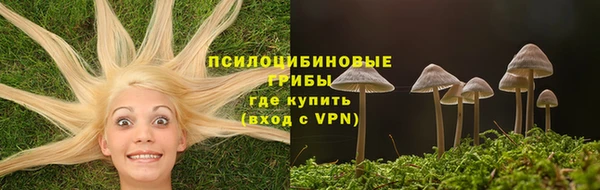 винт Алексин